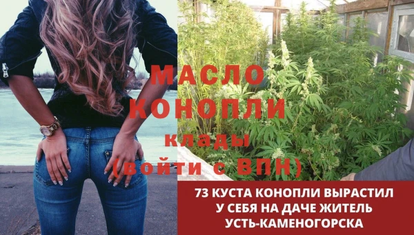 метадон Алексин