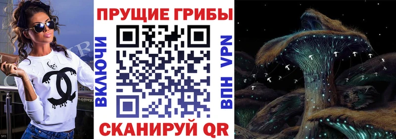 нарко площадка телеграм Новосиль Псилоцибиновые грибы GOLDEN TEACHER